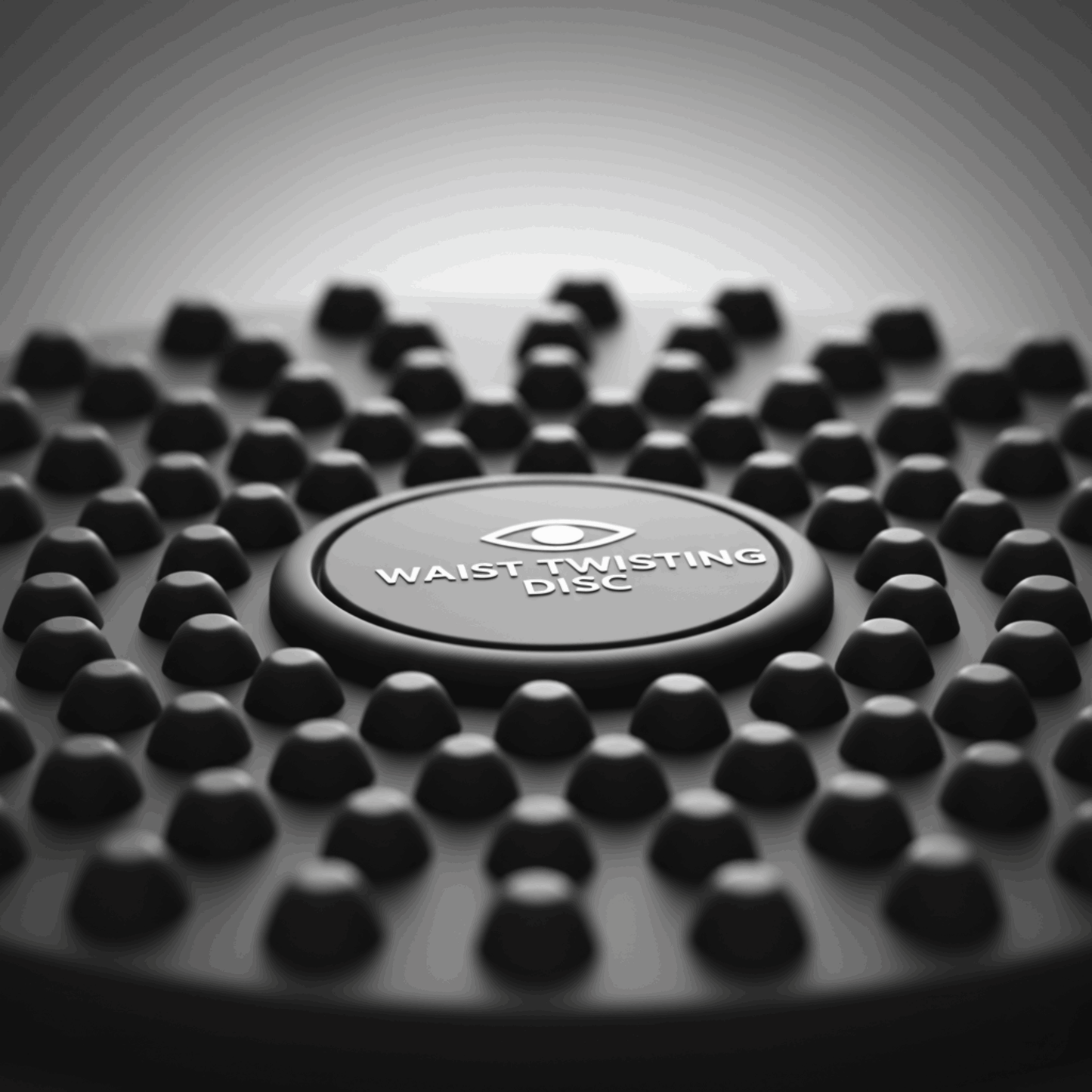 Twister Disc | Waist Twisting Balance Board |